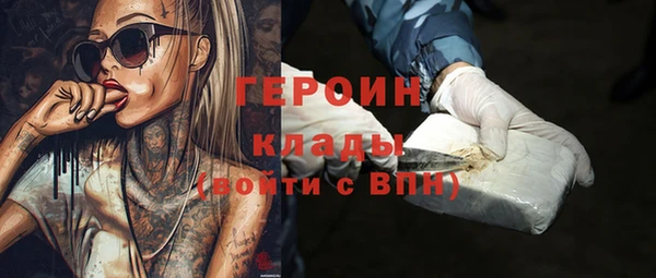 гидра Вязьма