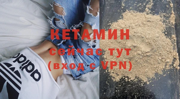 гидра Вязьма