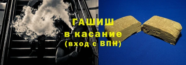 гидра Вязьма