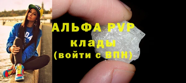 стаф Вяземский