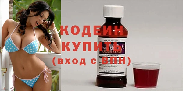 гидра Вязьма