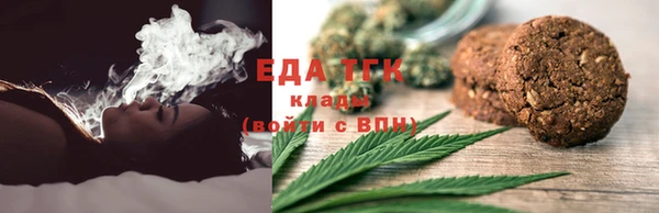 гидра Вязьма