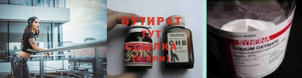 гидра Вязьма