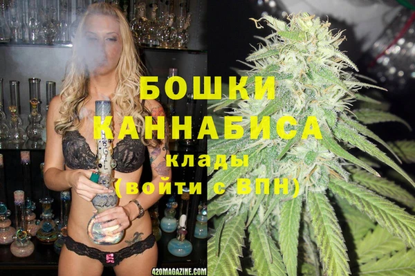 стаф Вяземский