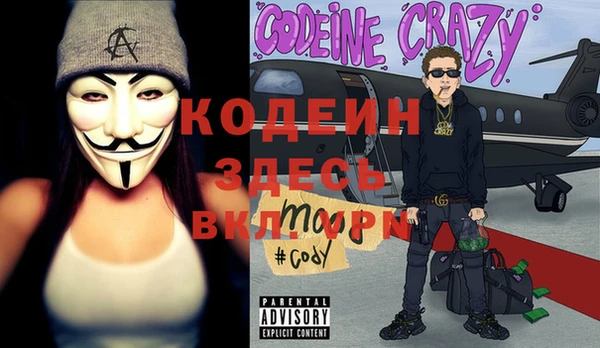 гидра Вязьма
