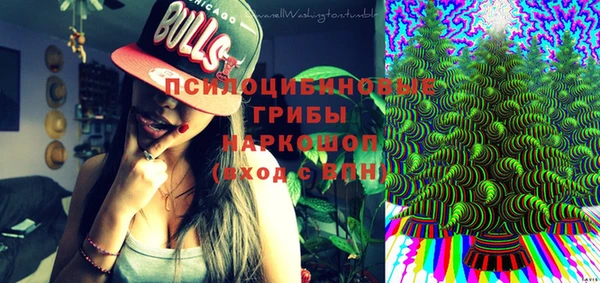 гидра Вязьма