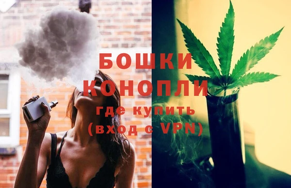 стаф Вяземский