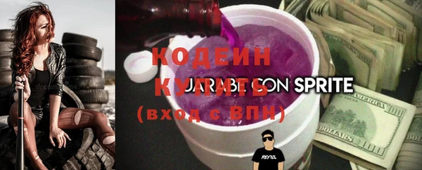 гидра Вязьма