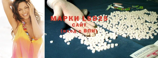 стаф Вяземский
