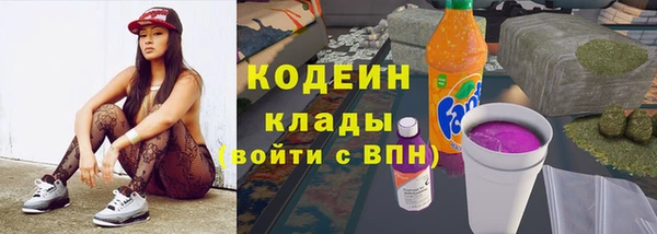 стаф Вяземский